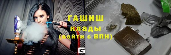 прущие грибы Волоколамск