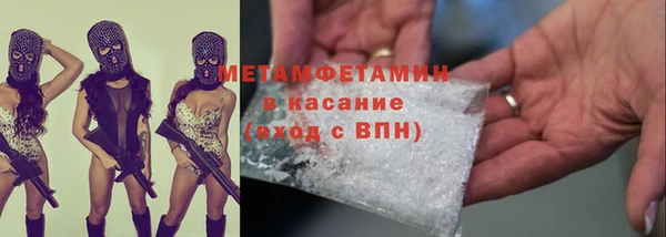прущие грибы Волоколамск