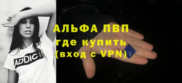 прущие грибы Волоколамск