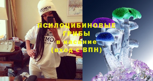 прущие грибы Волоколамск