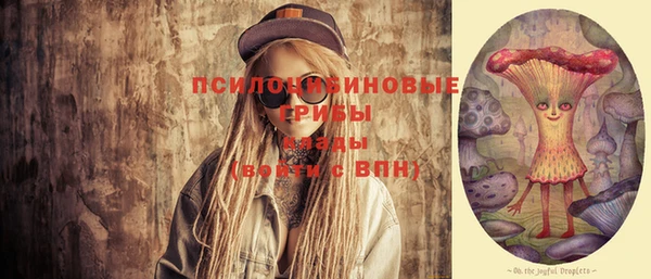 прущие грибы Волоколамск