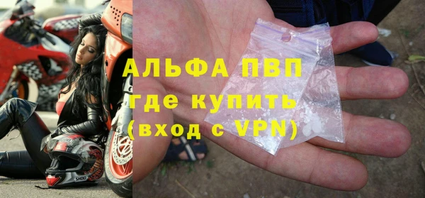 прущие грибы Волоколамск