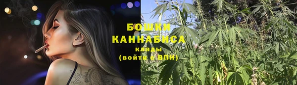 прущие грибы Волоколамск