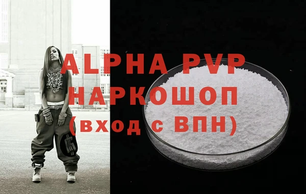 прущие грибы Волоколамск
